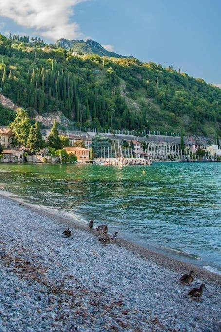 Alloggio Con Idromassaggio E Super Vista Nave San Felice Bagian luar foto
