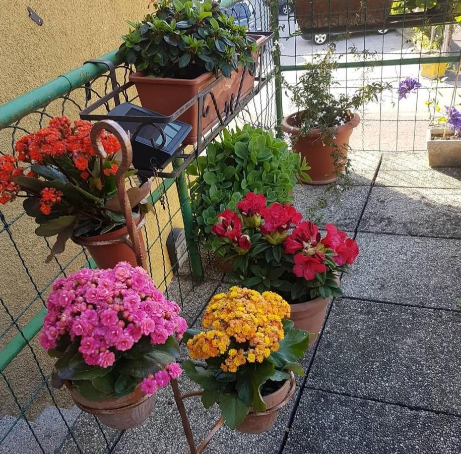 Alloggio Con Idromassaggio E Super Vista Nave San Felice Bagian luar foto